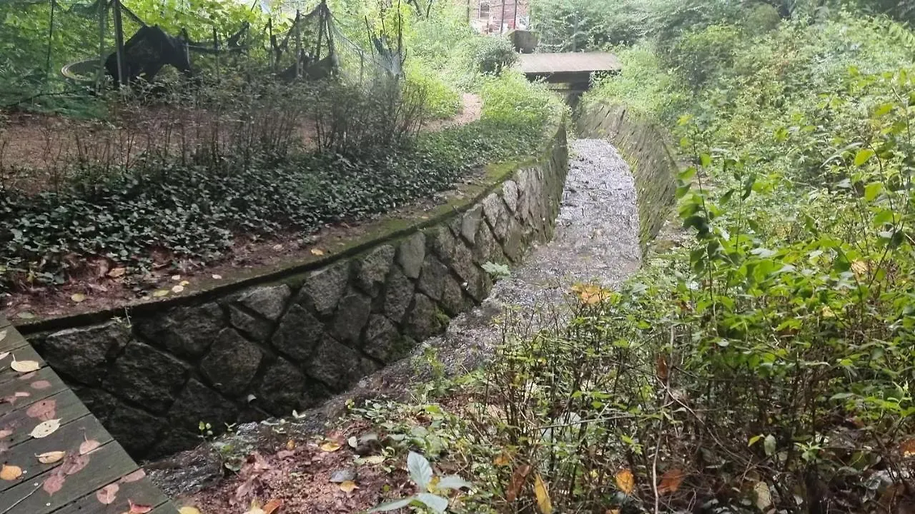 Urban Forest House Seul